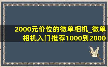 2000元价位的微单相机_微单相机入门推荐1000到2000之间