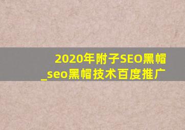 2020年附子SEO黑帽_seo黑帽技术百度推广