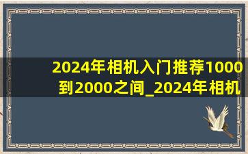 2024年相机入门推荐1000到2000之间_2024年相机入门推荐
