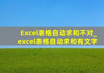 Excel表格自动求和不对_excel表格自动求和有文字