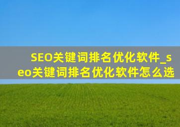 SEO关键词排名优化软件_seo关键词排名优化软件怎么选