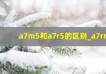 a7m5和a7r5的区别_a7rm5
