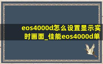 eos4000d怎么设置显示实时画面_佳能eos4000d单反相机怎么样