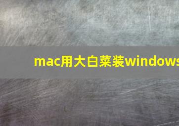 mac用大白菜装windows