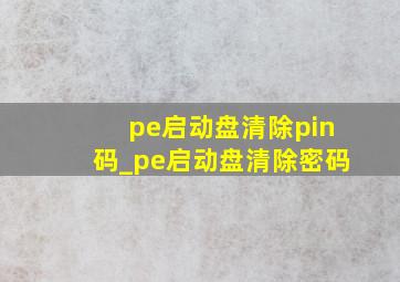 pe启动盘清除pin码_pe启动盘清除密码