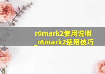 r6mark2使用说明_r6mark2使用技巧