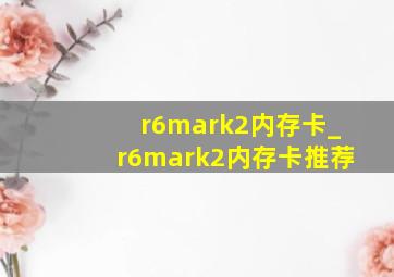 r6mark2内存卡_r6mark2内存卡推荐