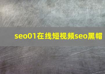 seo01在线短视频seo黑帽