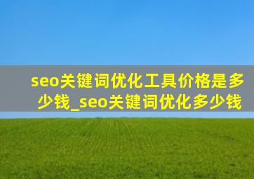 seo关键词优化工具价格是多少钱_seo关键词优化多少钱