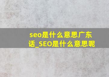 seo是什么意思广东话_SEO是什么意思呢