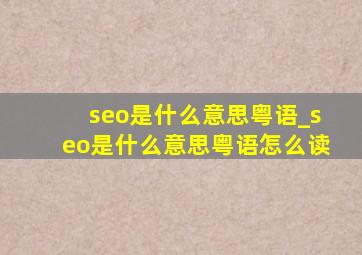 seo是什么意思粤语_seo是什么意思粤语怎么读