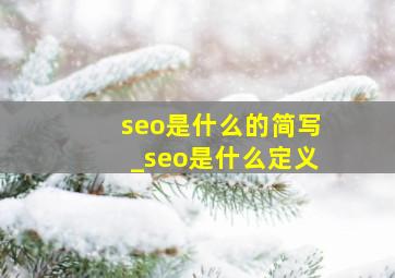 seo是什么的简写_seo是什么定义