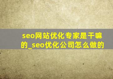 seo网站优化专家是干嘛的_seo优化公司怎么做的