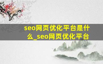 seo网页优化平台是什么_seo网页优化平台
