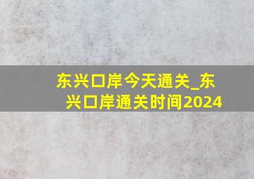 东兴口岸今天通关_东兴口岸通关时间2024