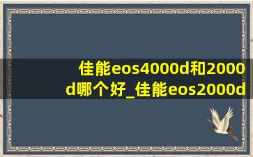佳能eos4000d和2000d哪个好_佳能eos2000d和eos4000d区别