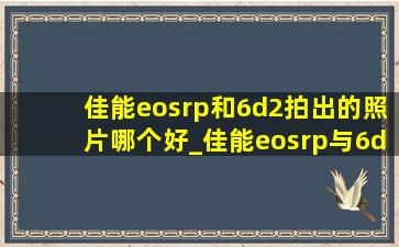 佳能eosrp和6d2拍出的照片哪个好_佳能eosrp与6d2哪个更好