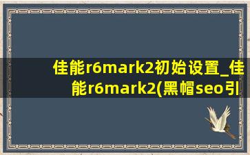 佳能r6mark2初始设置_佳能r6mark2(黑帽seo引流公司)设置