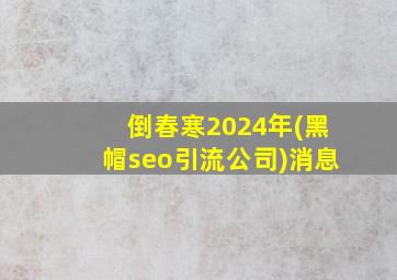 倒春寒2024年(黑帽seo引流公司)消息
