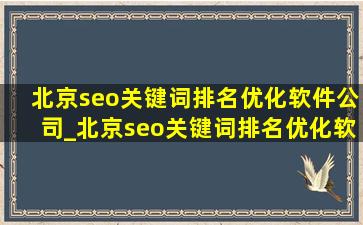 北京seo关键词排名优化软件公司_北京seo关键词排名优化软件