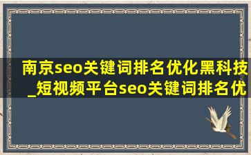 南京seo关键词排名优化黑科技_短视频平台seo关键词排名优化