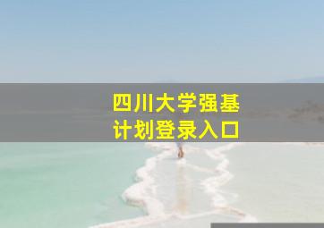 四川大学强基计划登录入口