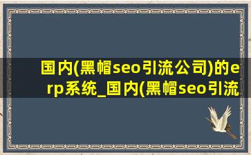 国内(黑帽seo引流公司)的erp系统_国内(黑帽seo引流公司)的erp系统品牌