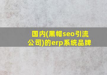 国内(黑帽seo引流公司)的erp系统品牌