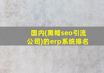 国内(黑帽seo引流公司)的erp系统排名