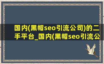 国内(黑帽seo引流公司)的二手平台_国内(黑帽seo引流公司)的二手平台排名