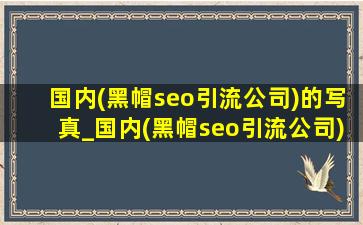 国内(黑帽seo引流公司)的写真_国内(黑帽seo引流公司)的写真网站推荐