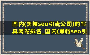 国内(黑帽seo引流公司)的写真网站排名_国内(黑帽seo引流公司)的写真网站