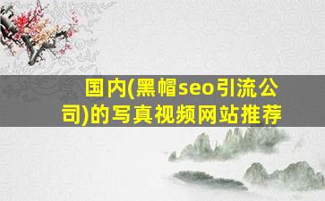 国内(黑帽seo引流公司)的写真视频网站推荐