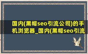 国内(黑帽seo引流公司)的手机浏览器_国内(黑帽seo引流公司)的手机浏览器排行榜