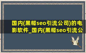 国内(黑帽seo引流公司)的电影软件_国内(黑帽seo引流公司)的电影网站