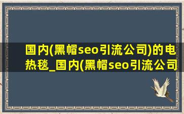 国内(黑帽seo引流公司)的电热毯_国内(黑帽seo引流公司)的写真网站