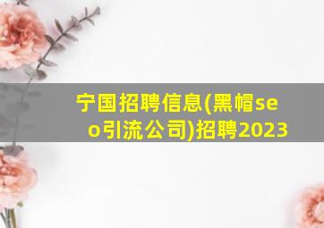 宁国招聘信息(黑帽seo引流公司)招聘2023