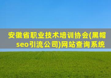 安徽省职业技术培训协会(黑帽seo引流公司)网站查询系统