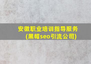 安徽职业培训指导服务(黑帽seo引流公司)