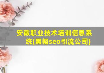 安徽职业技术培训信息系统(黑帽seo引流公司)