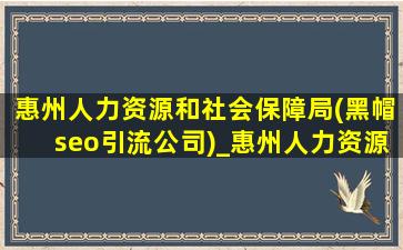 惠州人力资源和社会保障局(黑帽seo引流公司)_惠州人力资源和社会保障局网
