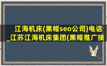 江海机床(黑帽seo公司)电话_江苏江海机床集团(黑帽推广接单)