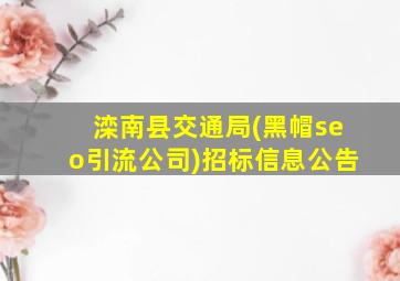 滦南县交通局(黑帽seo引流公司)招标信息公告