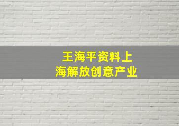 王海平资料上海解放创意产业