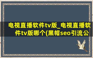电视直播软件tv版_电视直播软件tv版哪个(黑帽seo引流公司)用