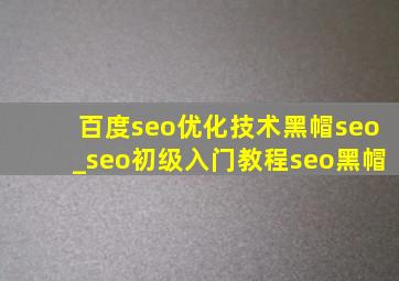 百度seo优化技术黑帽seo_seo初级入门教程seo黑帽