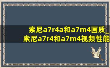 索尼a7r4a和a7m4画质_索尼a7r4和a7m4视频性能对比