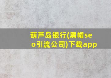 葫芦岛银行(黑帽seo引流公司)下载app