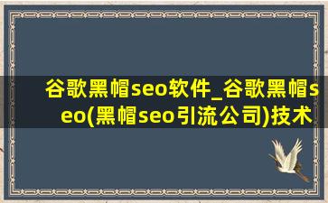 谷歌黑帽seo软件_谷歌黑帽seo(黑帽seo引流公司)技术