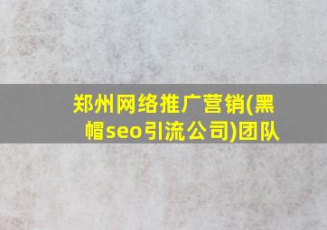 郑州网络推广营销(黑帽seo引流公司)团队
